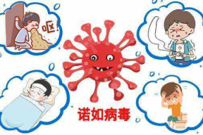 诺如病毒图片,揭秘其传播途径与防控措施